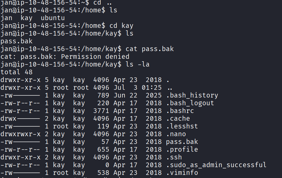 Directory listing for kay's home, showing pass.bak and .ssh
