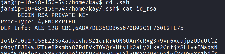Reading kay's world-readable id_rsa from jan's shell