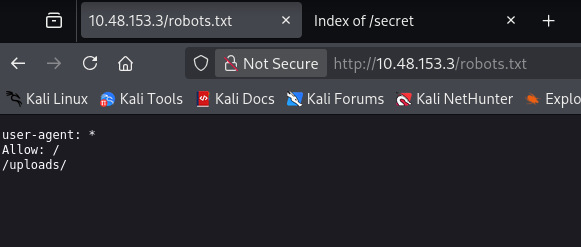 robots.txt served in the browser, listing /uploads/