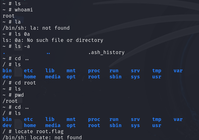 Navigating from the container's /root to the mounted host filesystem under /mnt