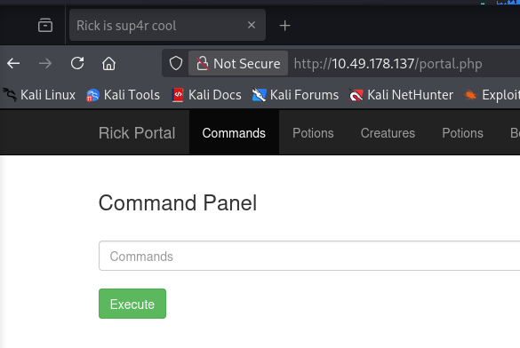 portal.php's Command Panel with an empty command input