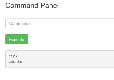 Command Panel listing /home, showing rick and ubuntu