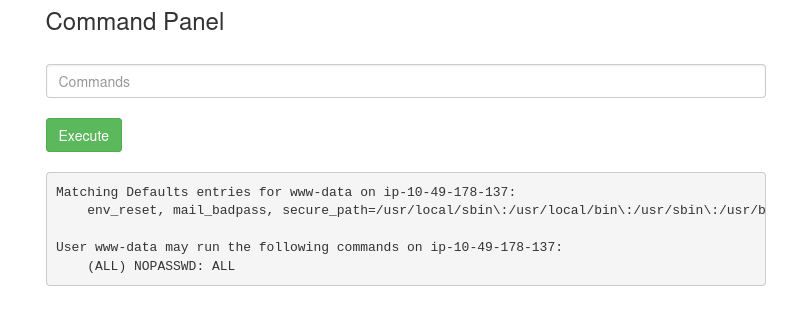 sudo -l showing www-data may run (ALL) NOPASSWD: ALL